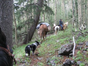 Out in the Gila Wilderness Area Aug 2012