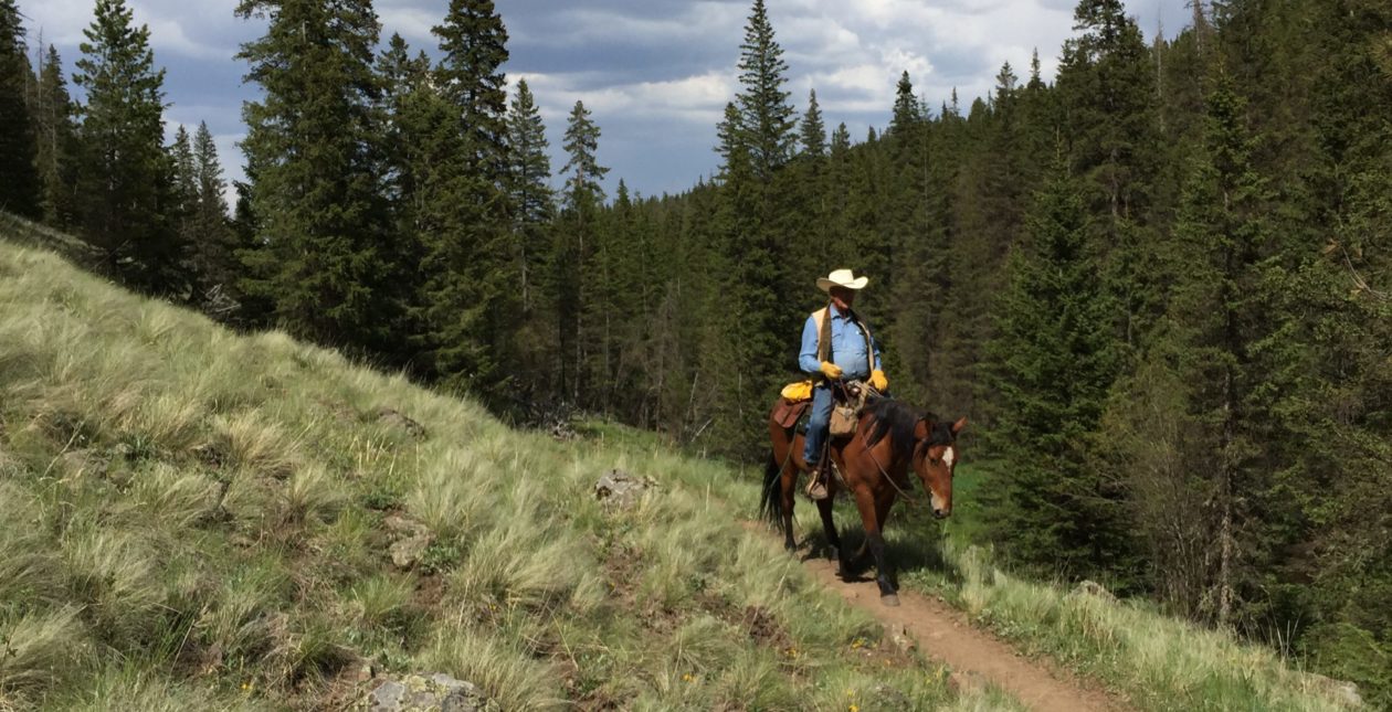 Western Trail Rider